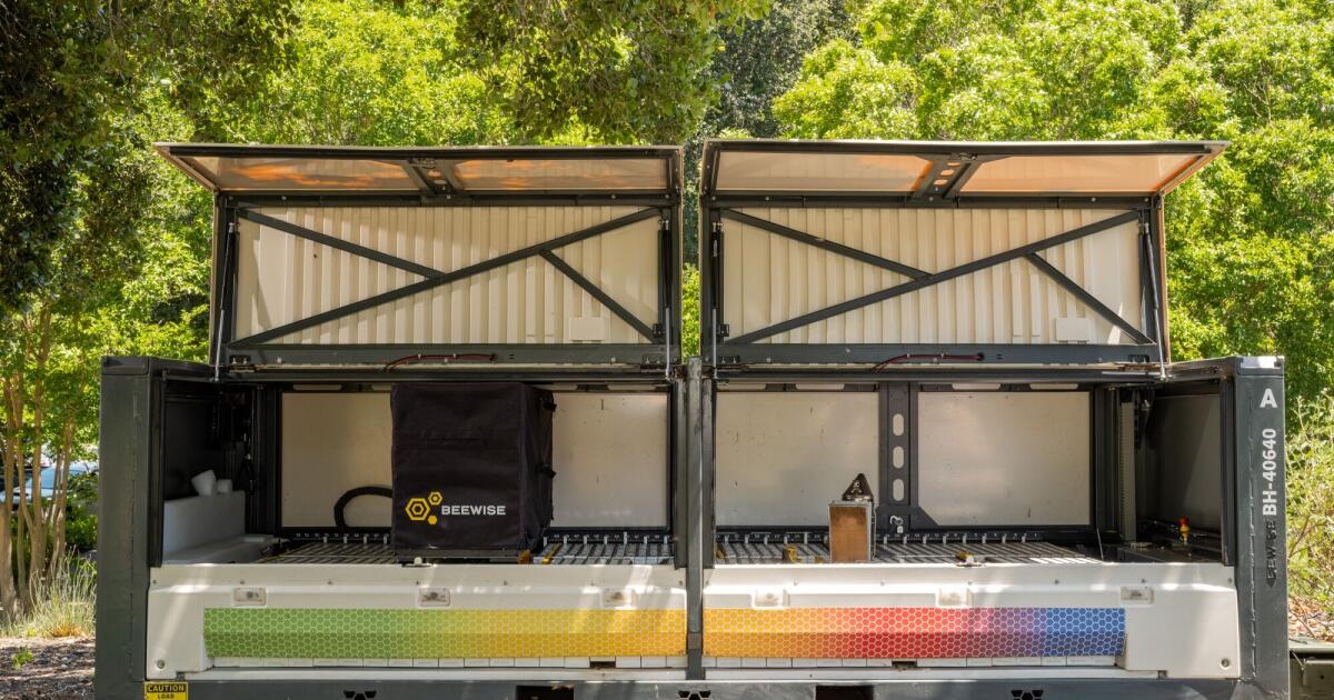Comment l'IA réduit le risque d'effondrement des colonies d'abeilles en Californie