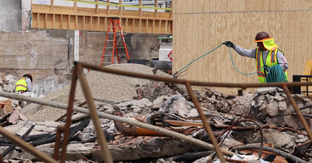 Le panel appelle une nouvelle autorité pour superviser la reconstruction après le feu à LA