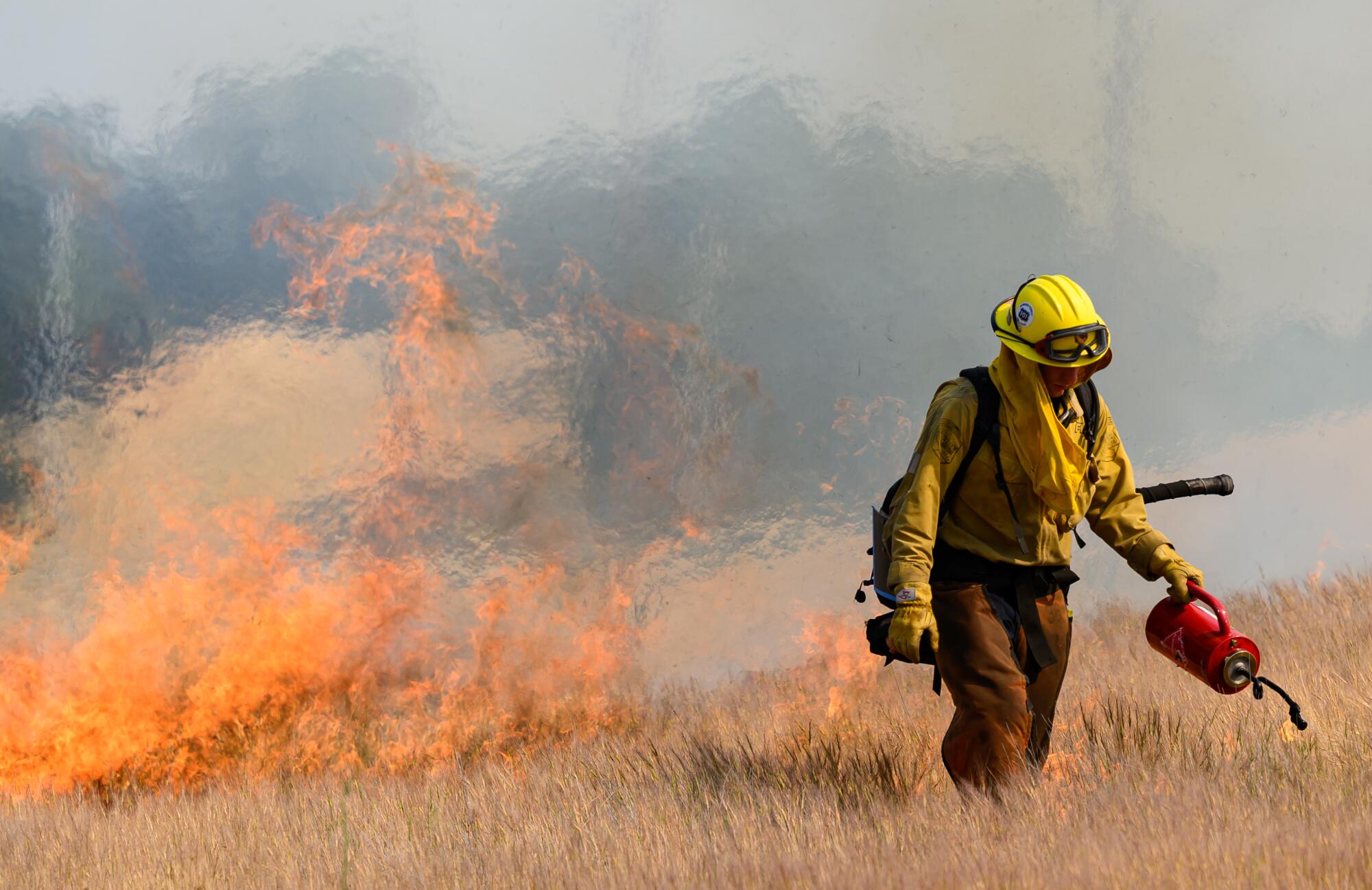Un pompier en équipement de protection utilise une torche pour déclencher un feu sur une colline jaune. 