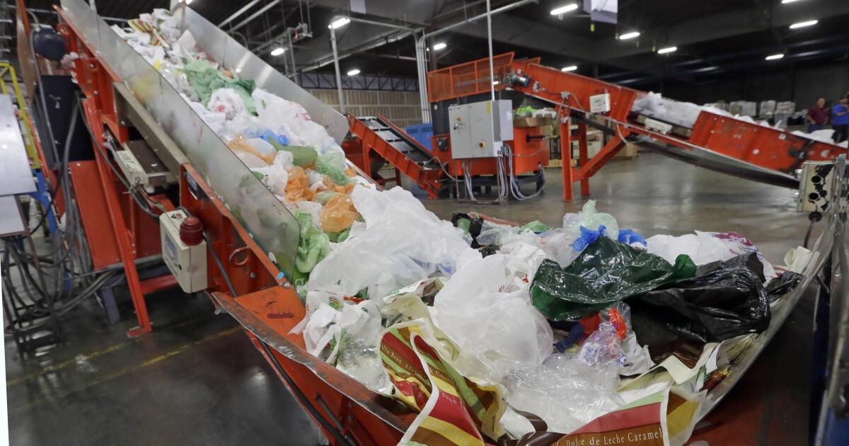 Les interdictions de sacs en plastique semblent fonctionner en matière de pollution du rivage