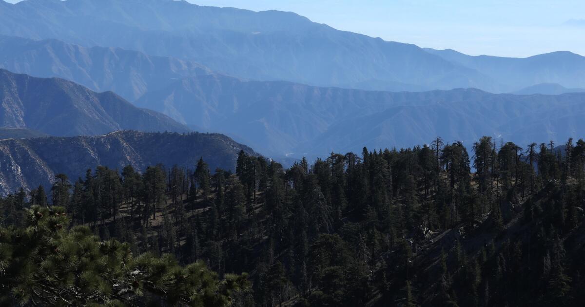 Trump annule la «règle sans route» qui protège 58 millions d'acres de forêts nationales