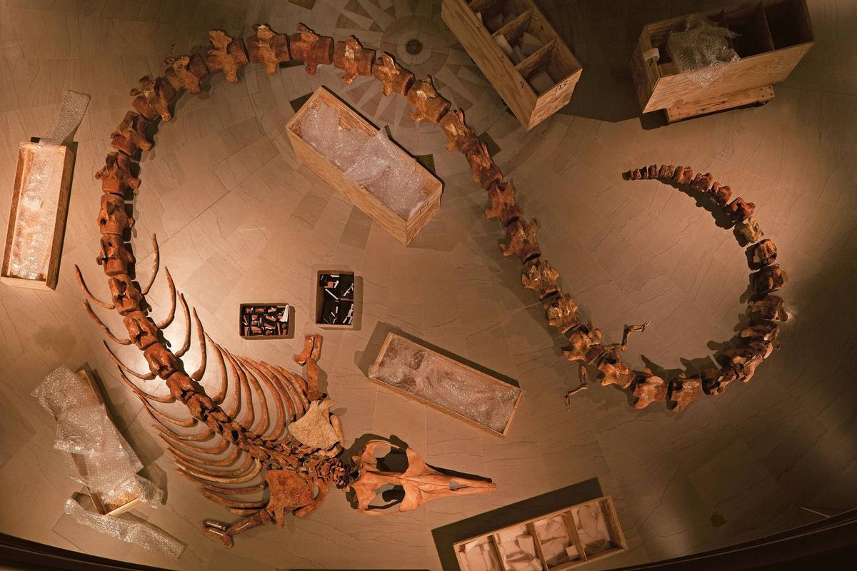 Restos Conservados en El Centro de Visitantes