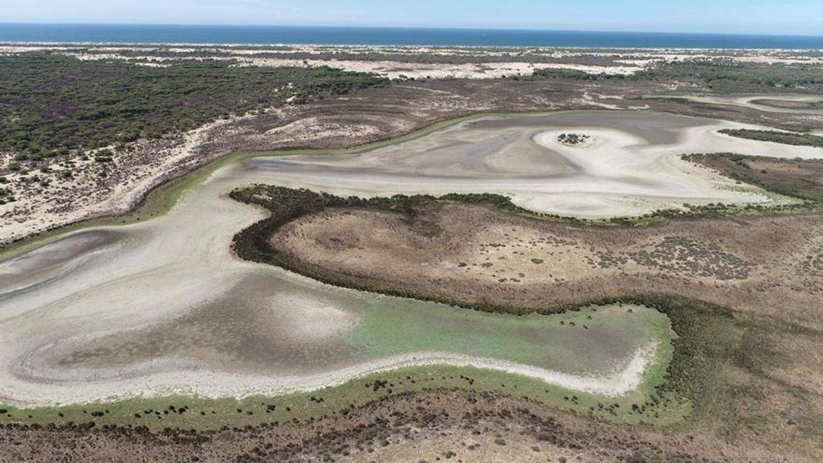 Laguna de Santa Olalla, en Doñana, Seca en Agosto de 2022.