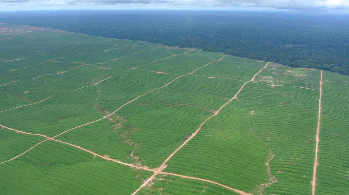 Deforestación en Perú