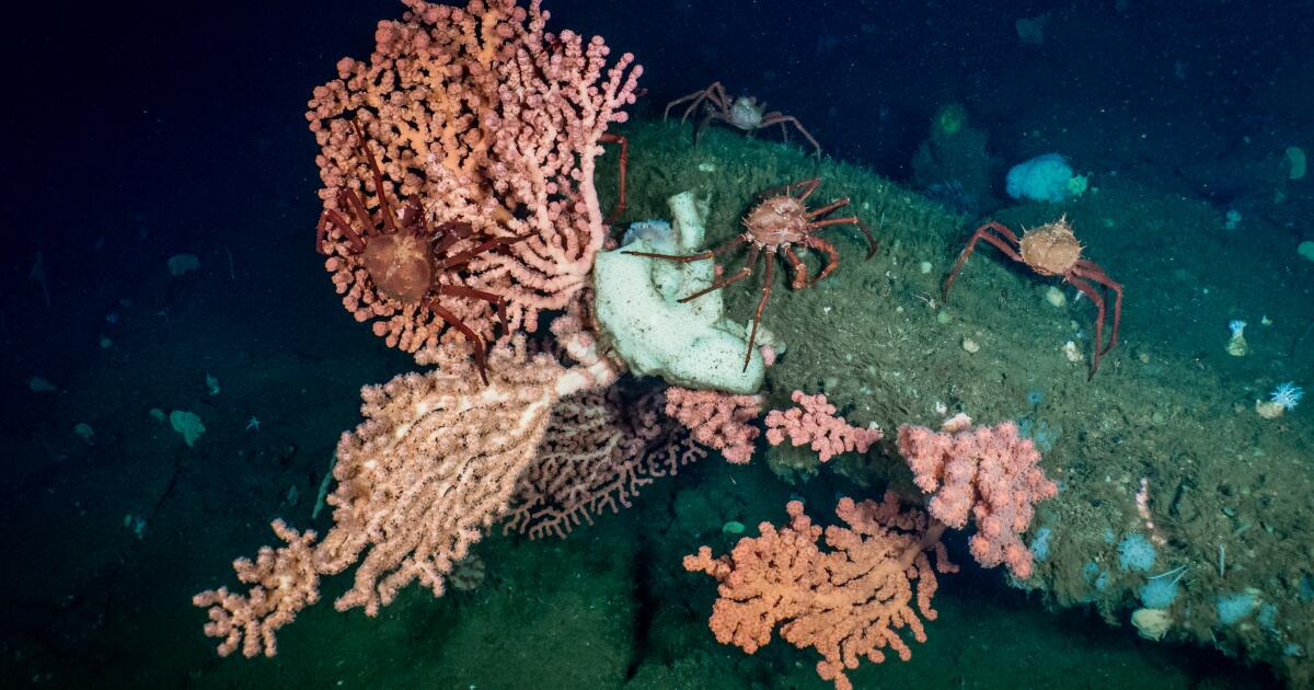 La Californie se rapproche des objectifs de conservation «30x30» comme menaces pour les terres publiques à tisser