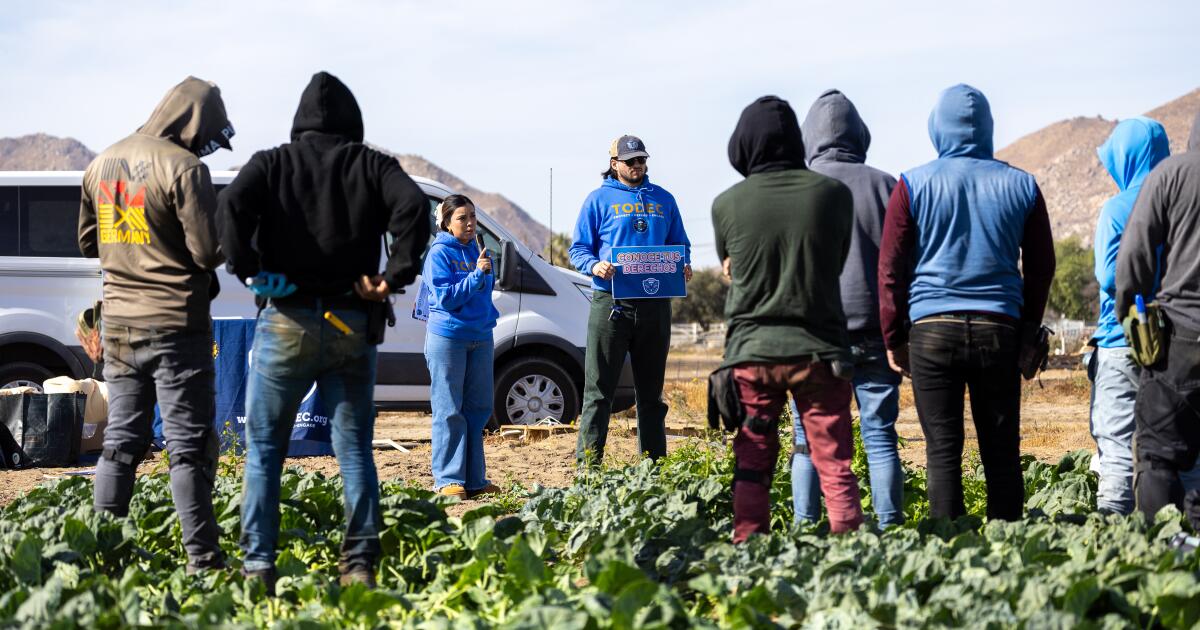 La peur des raids de glace rend la chaleur intolérable pour les familles immigrées