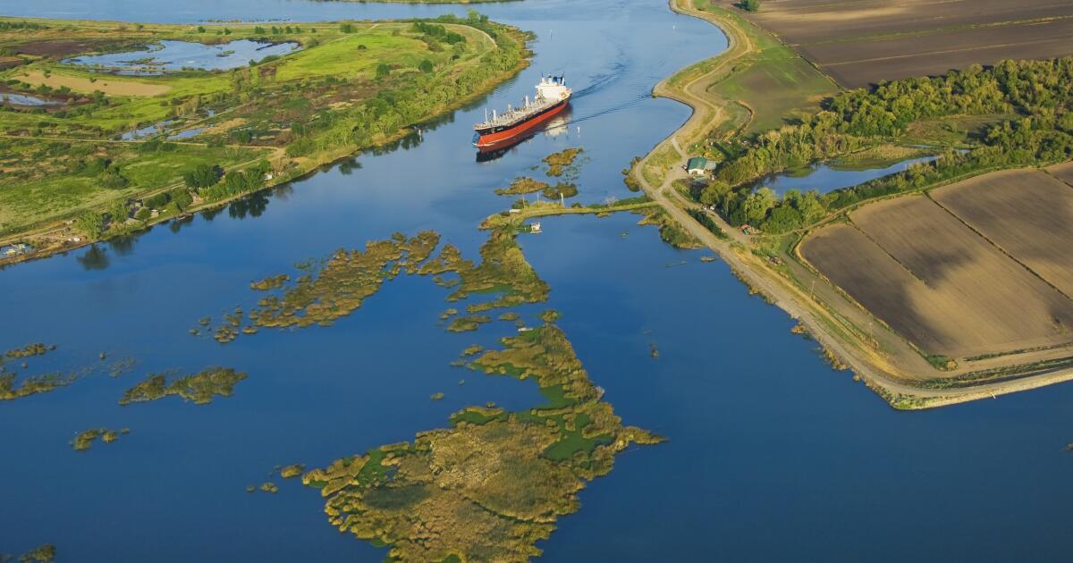 Les régulateurs de Californie disposent de deux chemins dans le plan d'eau delta proposé