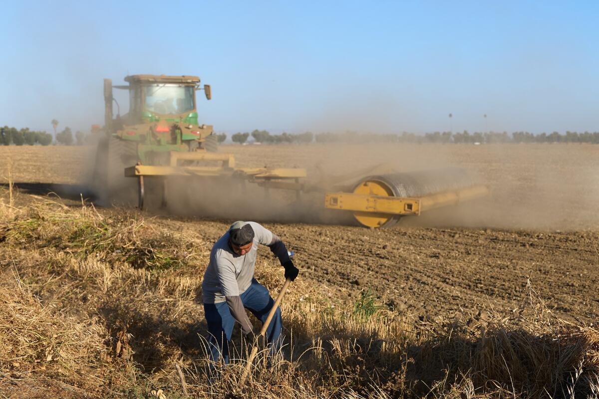 Un brossage clair des travailleurs agricoles d'un canal d'irrigation agricole