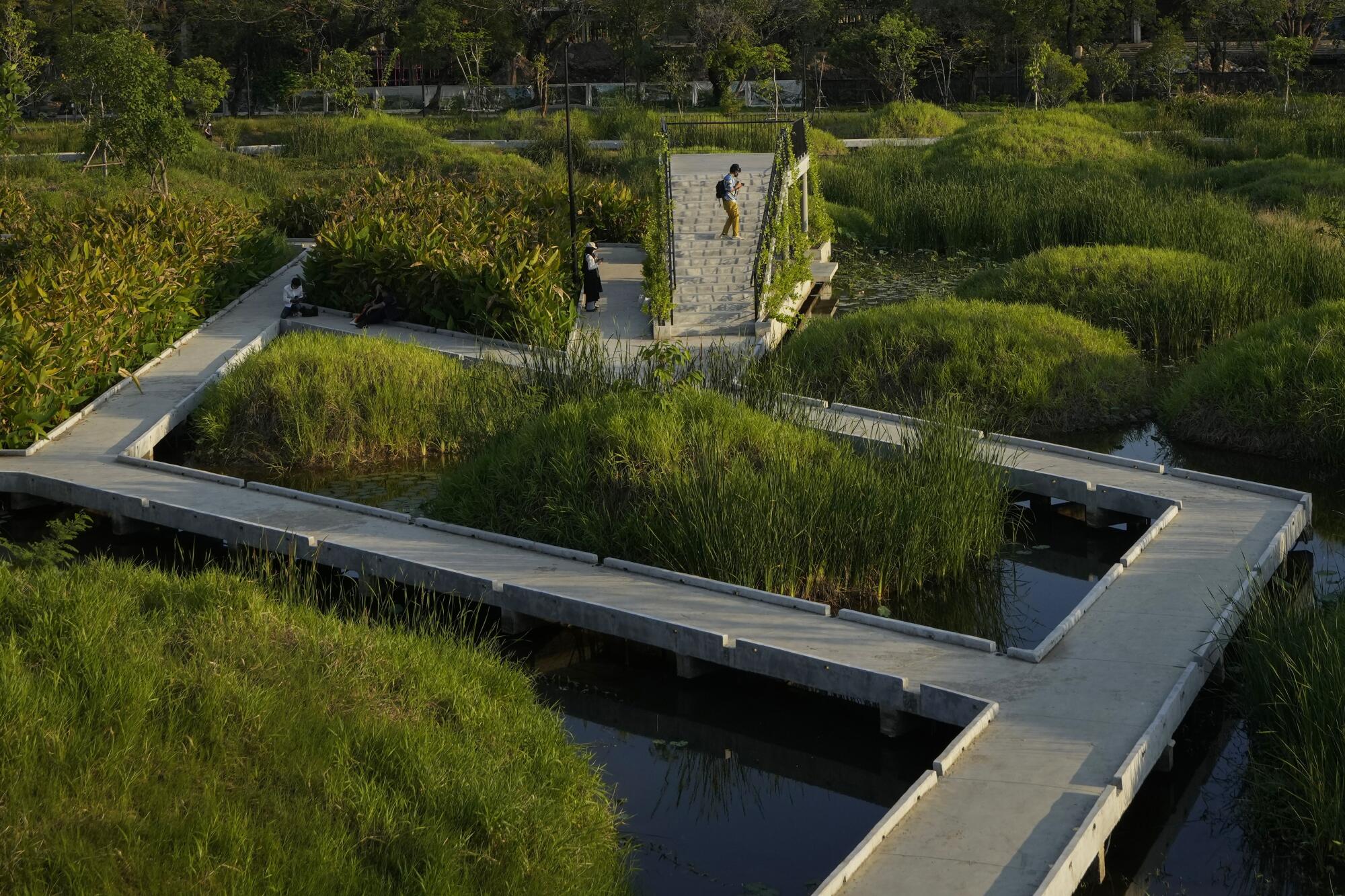 Les gens se reposent au parc Benjakitti, qui est maintenant un endroit populaire d'observation des oiseaux.