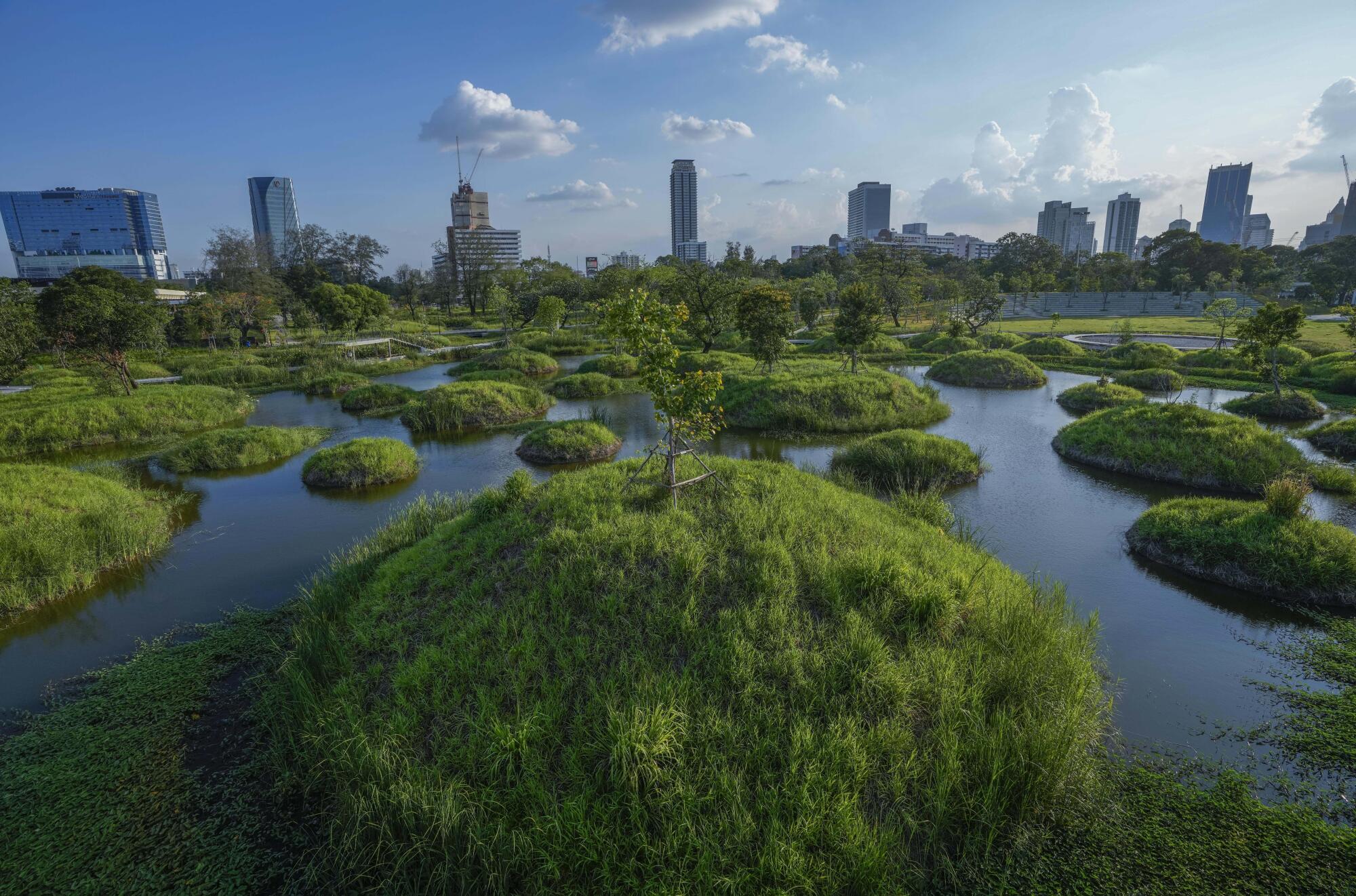 Le long système de zones humides du parc contient des fourrés de plantes aquatiques qui éliminent les polluants de l'eau.