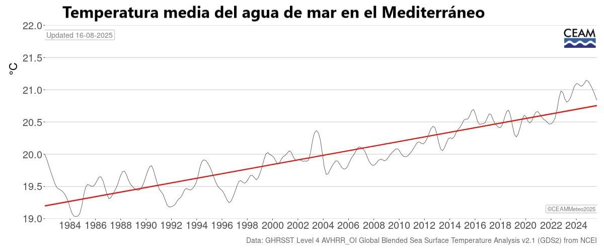 Evolución de la Temperatura superficiel del mar en el mediteráneo