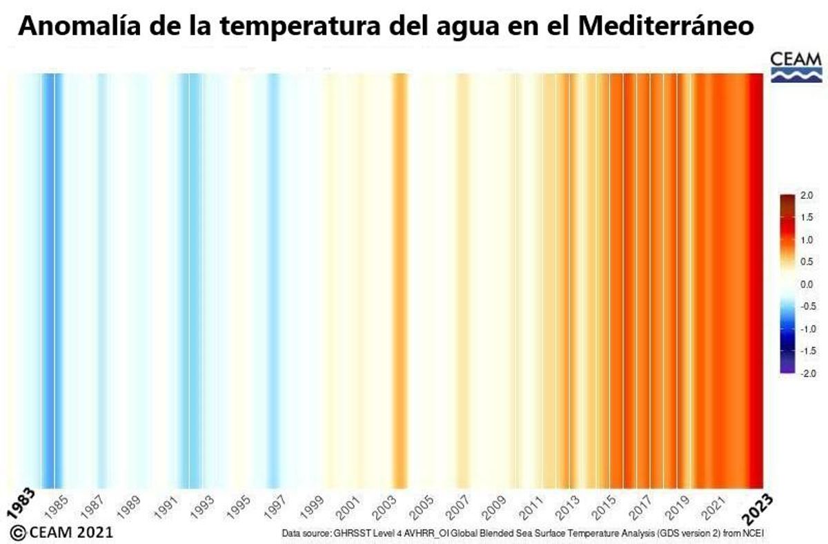 Anomalía de Temperatura en El mar en las últimas decadas