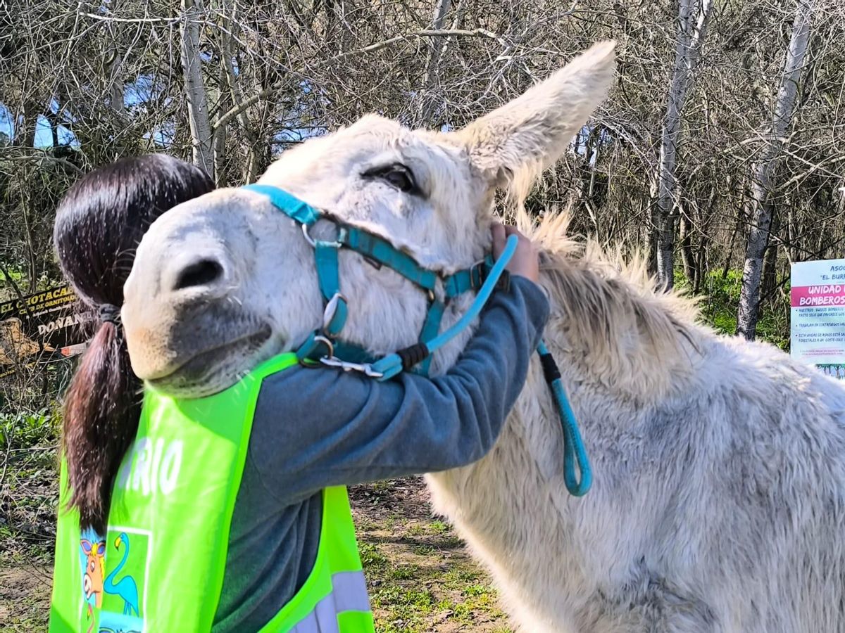 Una de las cuidadoras de los burros bomberos, con uno de los animaux