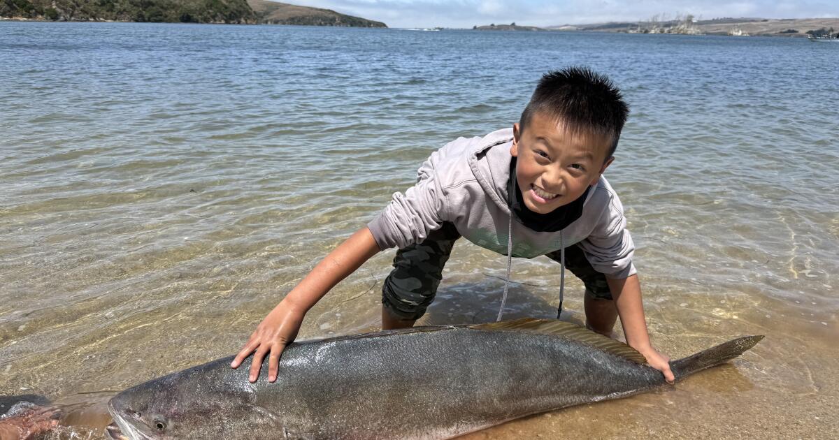 Habriques de 13 ans dans le bar blanc de 64 livres