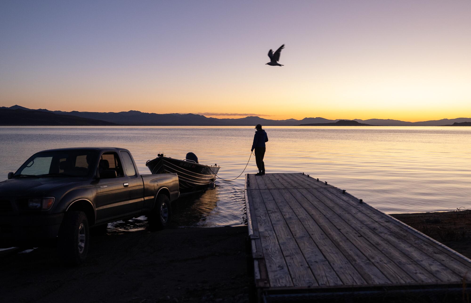 Une personne vue dans l'ombre sur un quai, près d'un camion et d'un bateau, avec un oiseau volant au-dessus