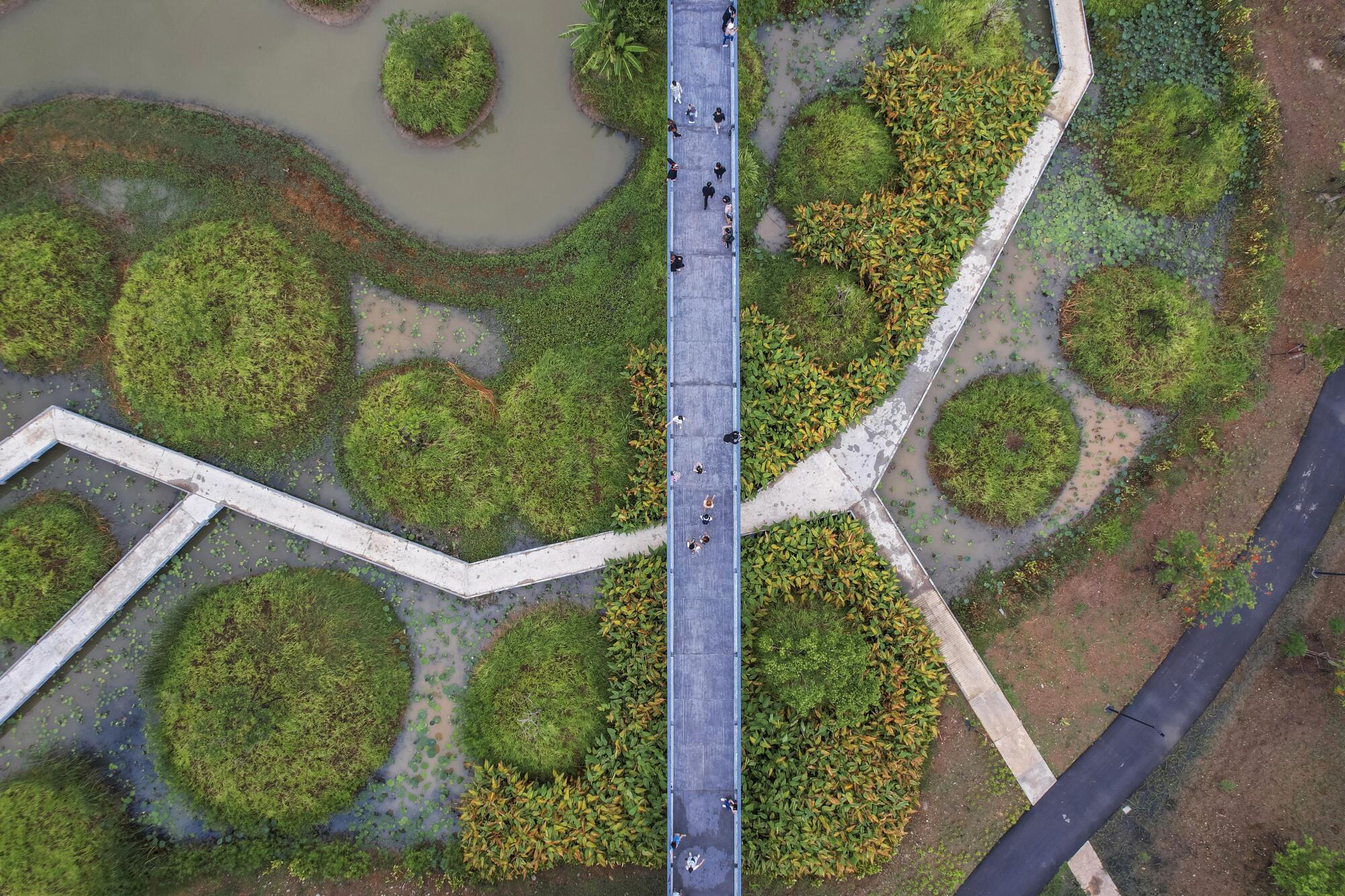 Une vue aérienne montre des sentiers à travers le parc Benjakitti à Bangkok.