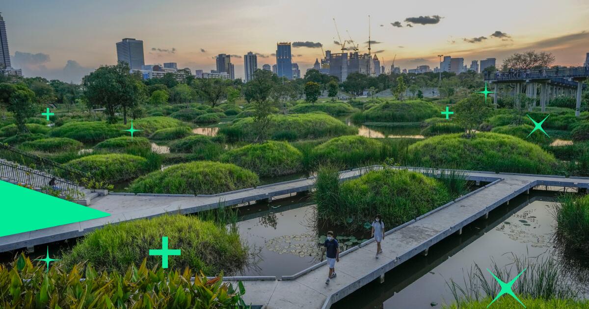 LA devrait-il se tourner vers les «villes éponges» pour résoudre son problème d'inondation?