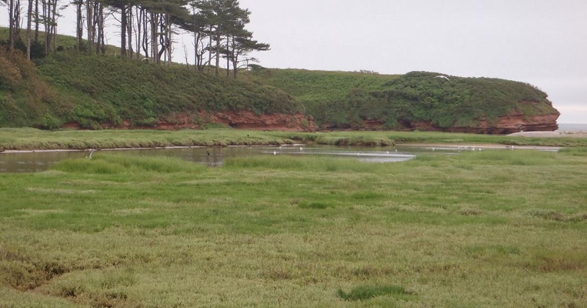 Les côtes «ont besoin de défenses naturelles»