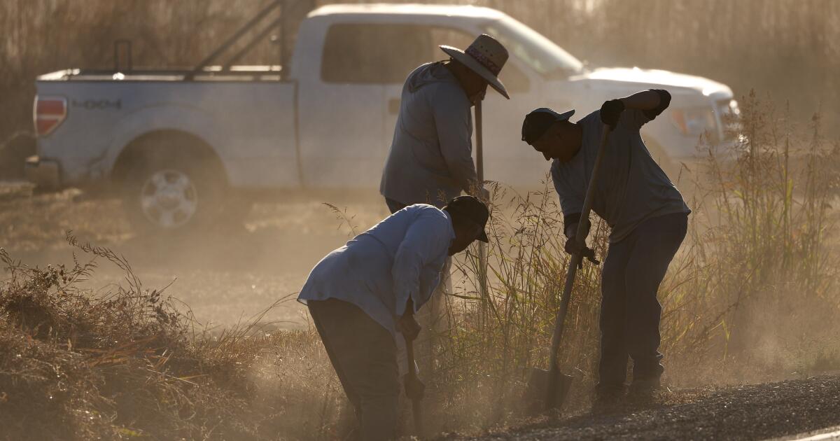 Les travailleurs agricoles de Californie meurent encore d'une maladie de la chaleur 20 ans après la loi