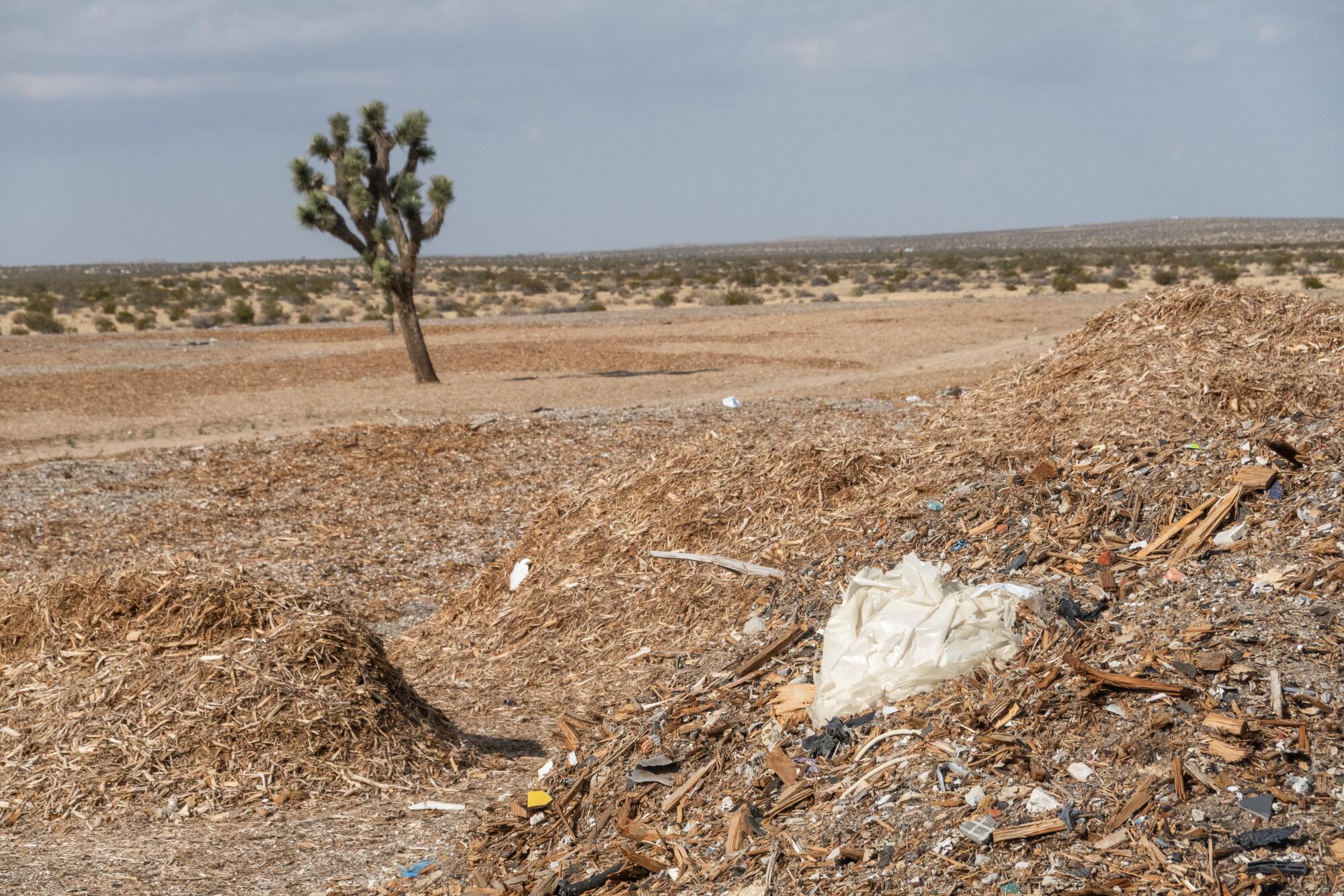   Un emplacement au sud de l'avenue East M dans le lac Los Angeles tient le paillis, les déchets et les débris de construction.