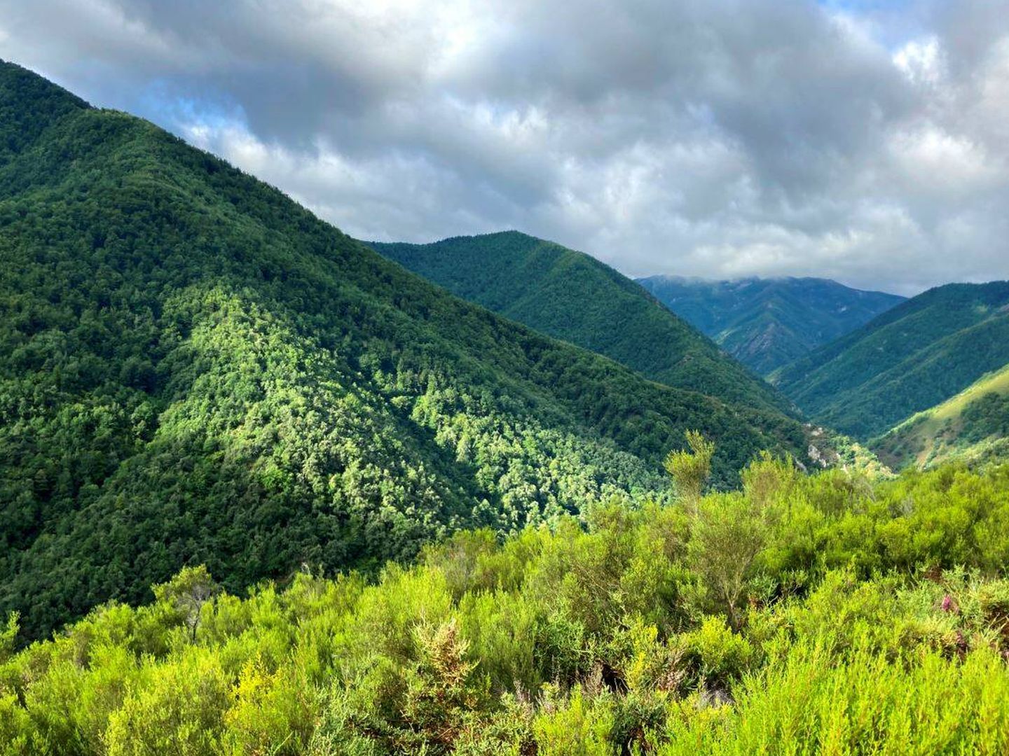 Les connaissances géographiques contribuent à la conservation du territoire (Jose Luis Gallego)