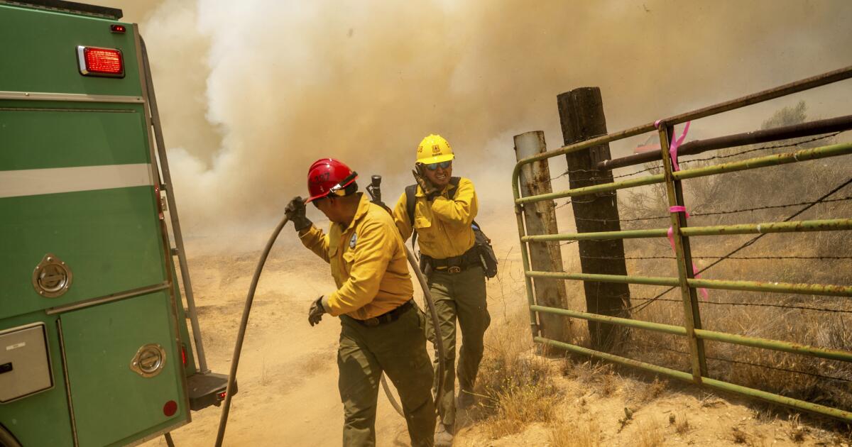 Le Service forestier inverse l'interdiction des décennies des masques de protection