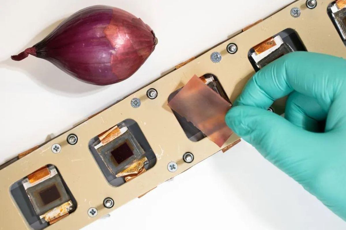 Una película con Extracto de Cebolla es colocada sobre una célula solar