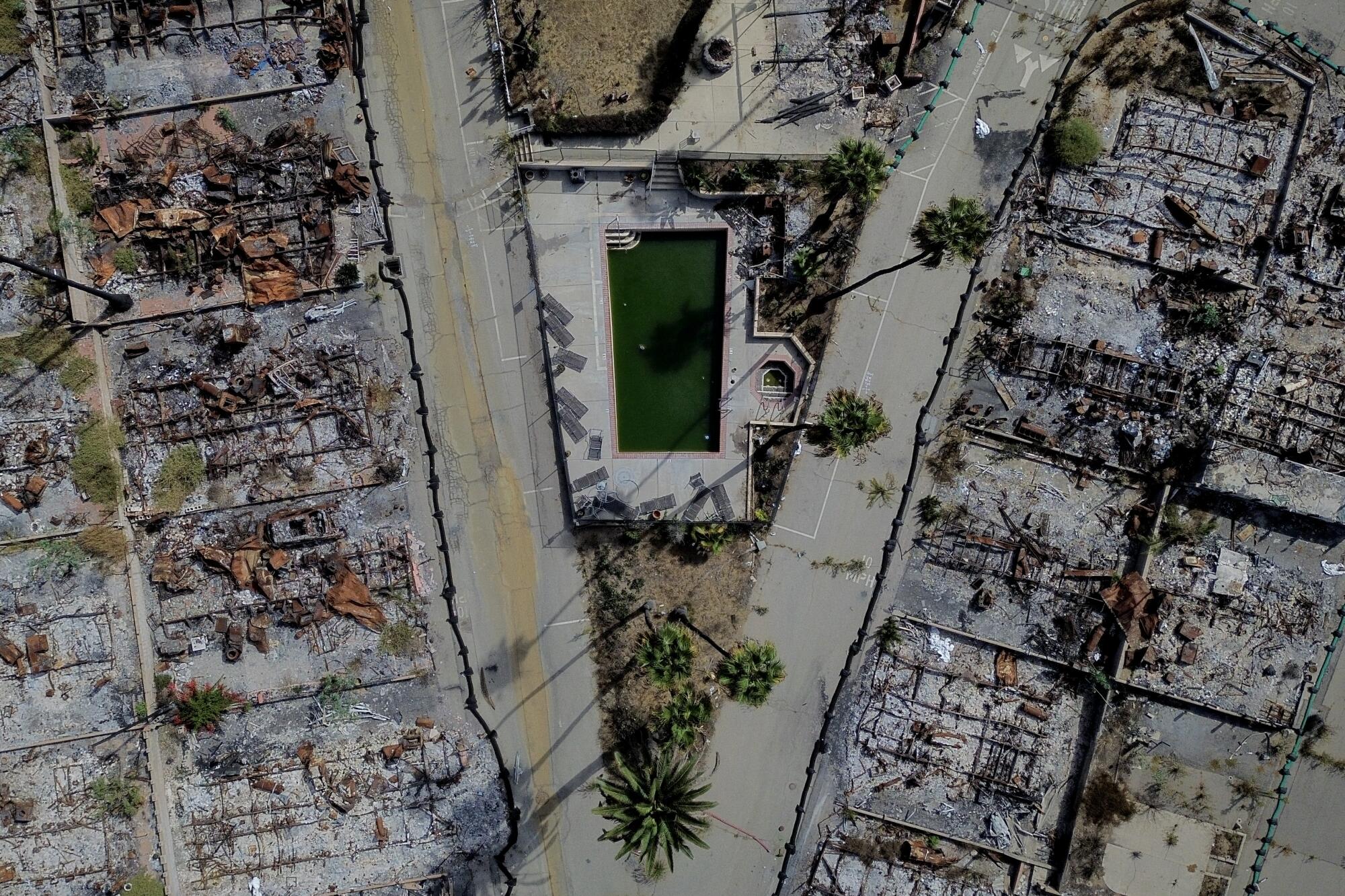 Neuf mois après l'incendie, la piscine communautaire du Palisades Bowl est remplie d'un liquide trouble et vert.