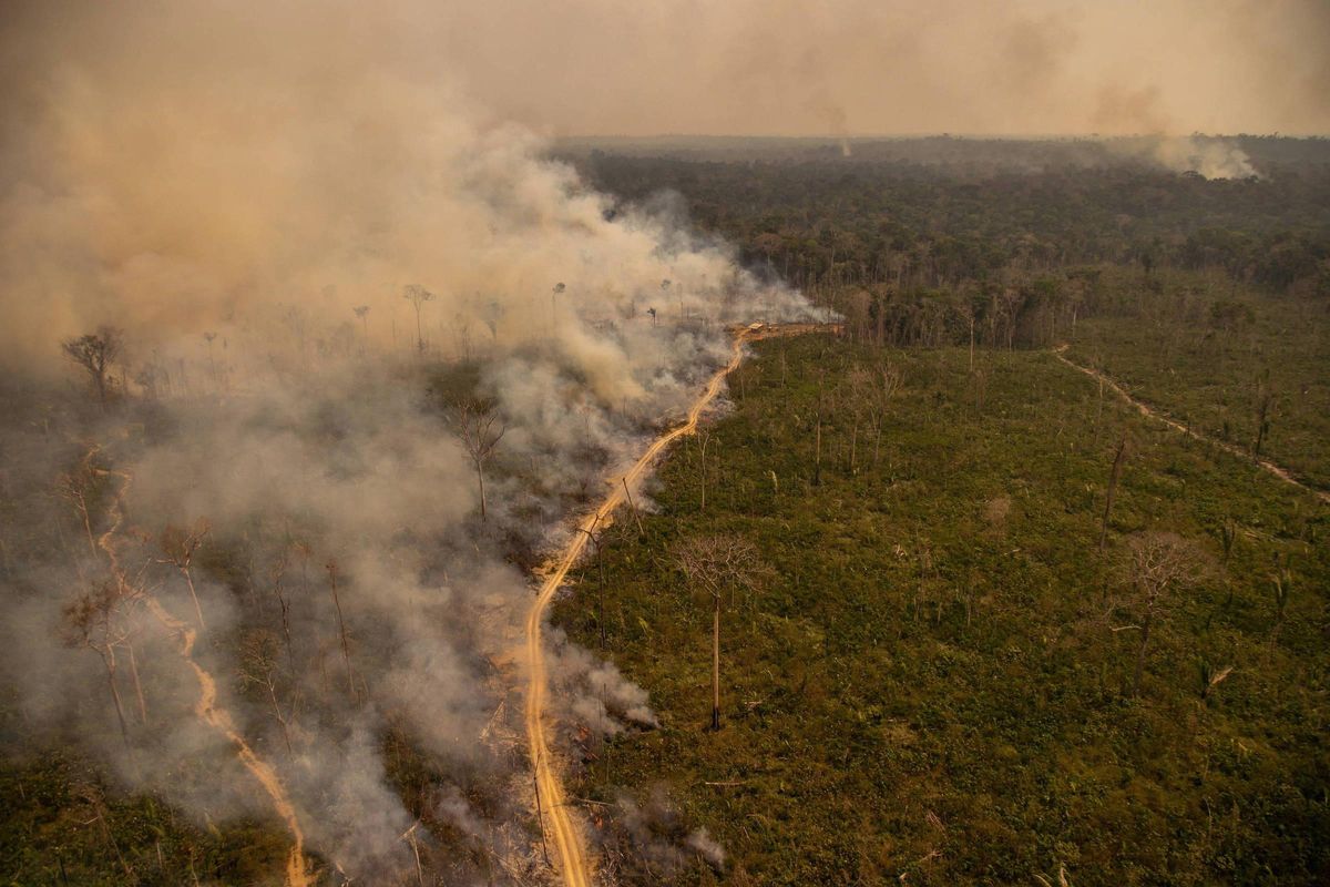 Incendie en Amazonie brésilienne