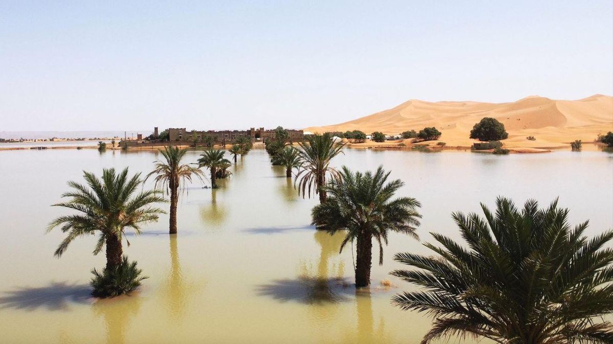Inondations au Sahara l'année passée, les premières en milieu de siècle