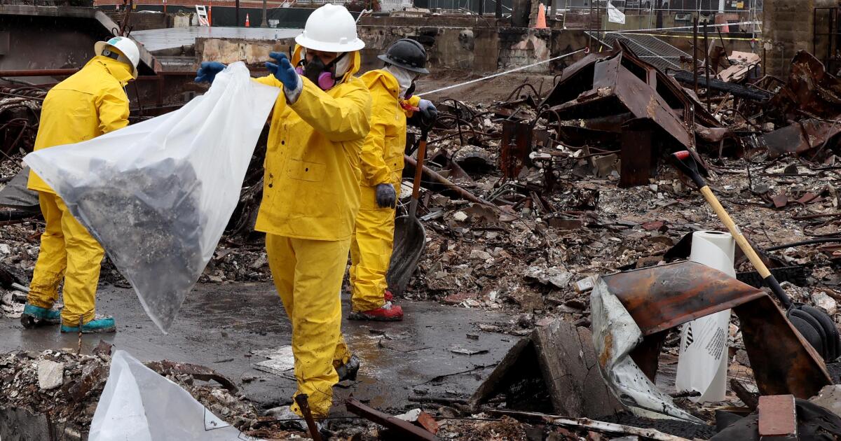 La ville déclare les propriétés non nettoyées de Pacific Palisades comme une « nuisance publique »