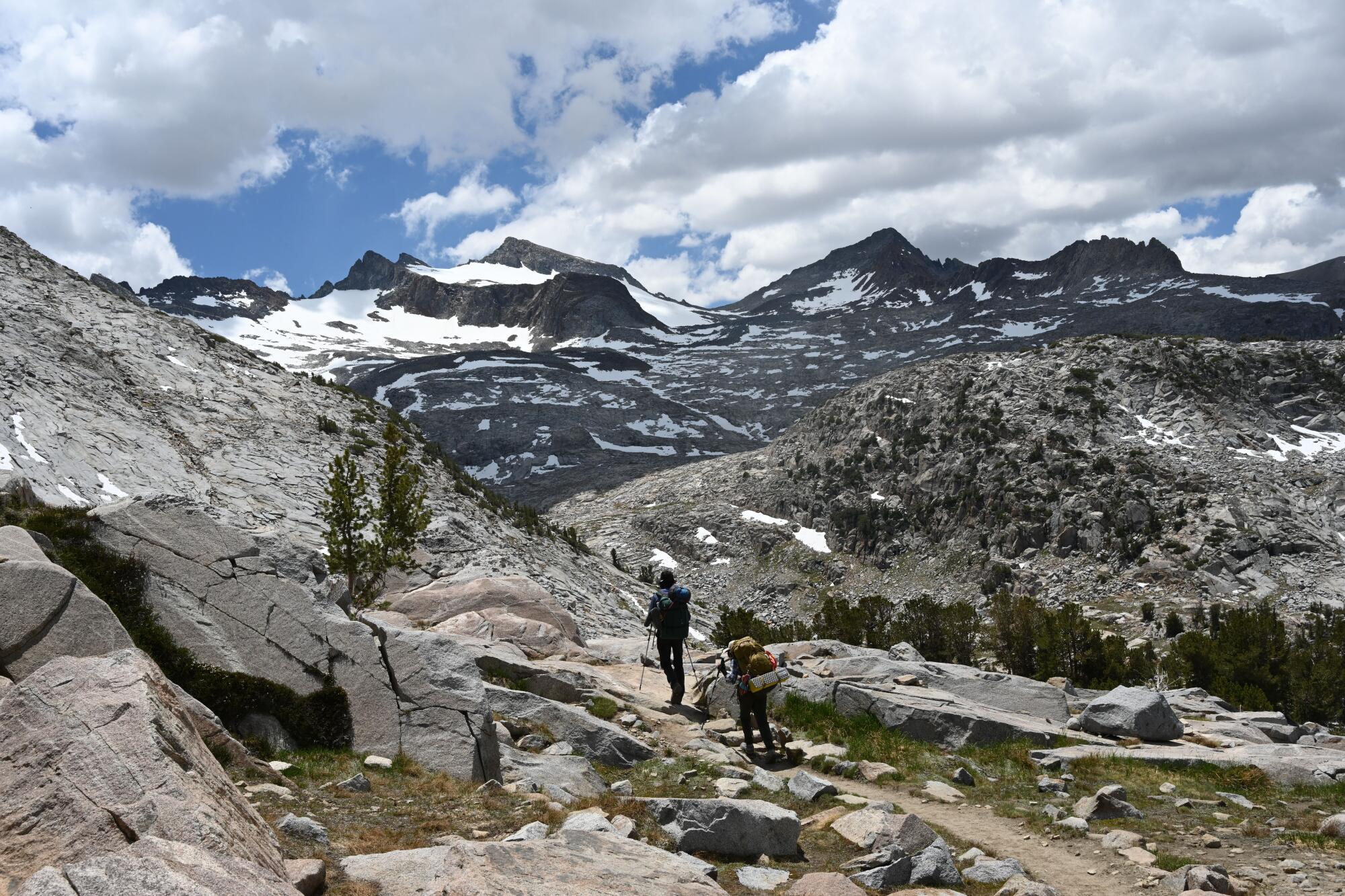 Glacier d'East Lyell.