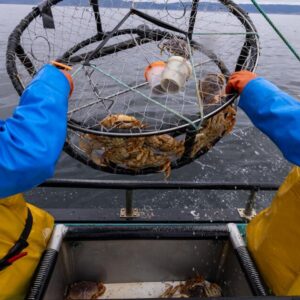 El Niño, un phénomène record, pourrait anéantir les flottes de crabe et de saumon de Californie