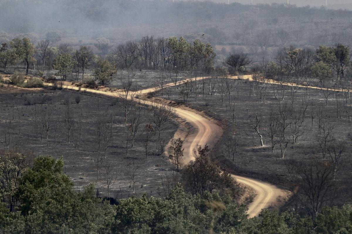 Paysage avec un incendie forestier este verano en España