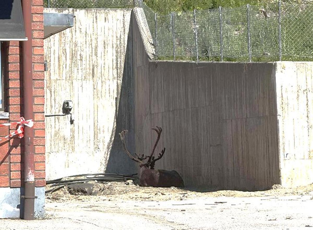 Une rénovation à la tombée de la nuit pendant l'aube calorique à Tärnaby, Suecia.