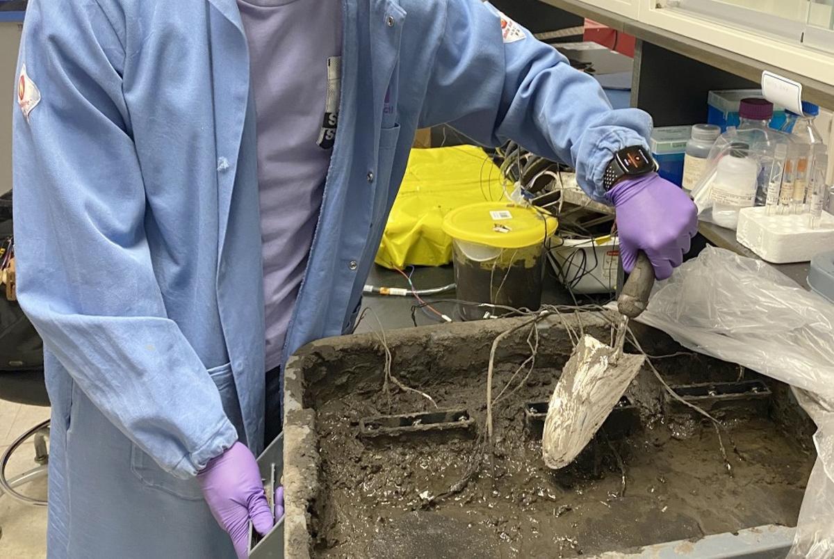 Un enquêteur travaillant dans le laboratoire entreprend une pile de combustible sur la terre.