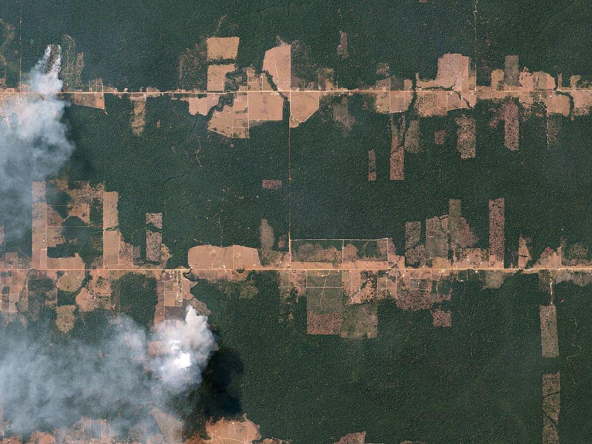Déforestation tropicale, vue sur l'aire