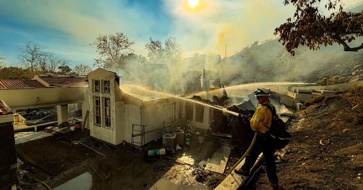 La brigade citoyenne qui a combattu l’incendie des Palissades est-elle trop risquée ?