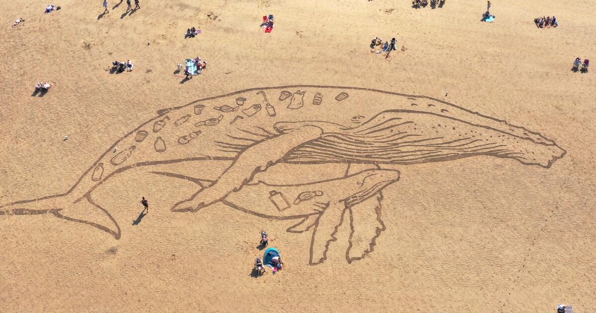 Quelle quantité de plastique faut-il pour tuer des animaux marins ? Les scientifiques ont des réponses
