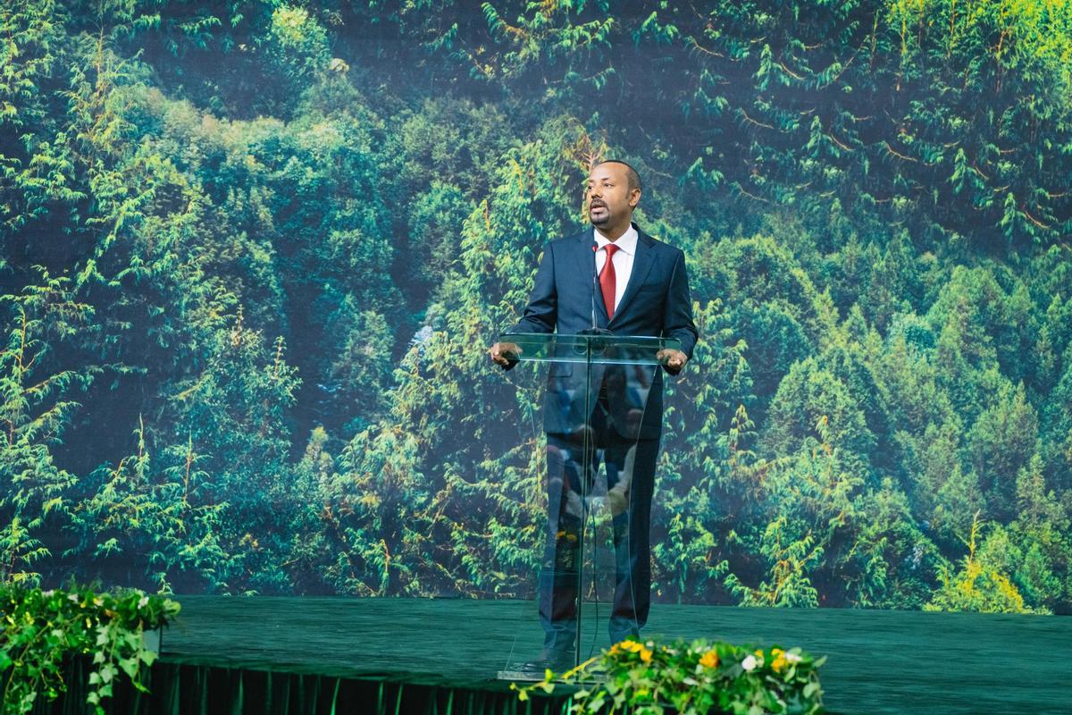Le Gouvernement d'Éthiopie a impulsé le projet Legado Verde