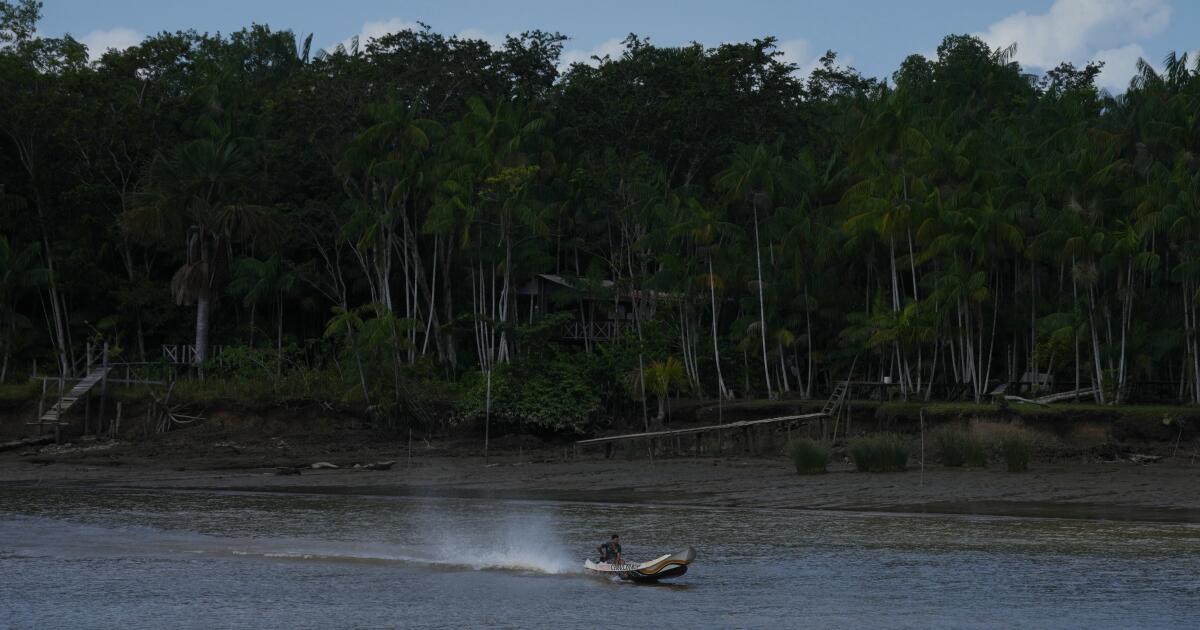 Un projet ferroviaire en Amazonie soulève des questions sur la déforestation au Brésil