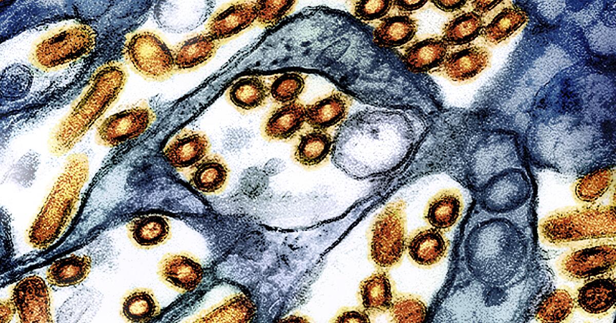 Un résident de l’État de Washington décède d’une nouvelle forme H5N5 de grippe aviaire