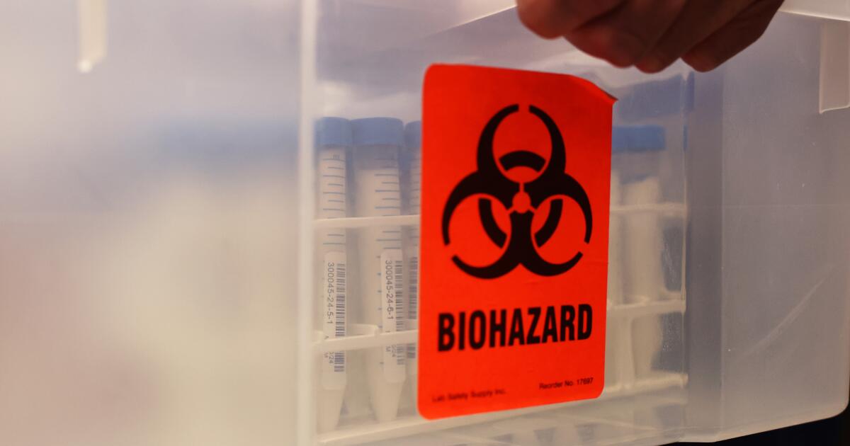 Une nouvelle forme de grippe aviaire hospitalise un résident de l’État de Washington