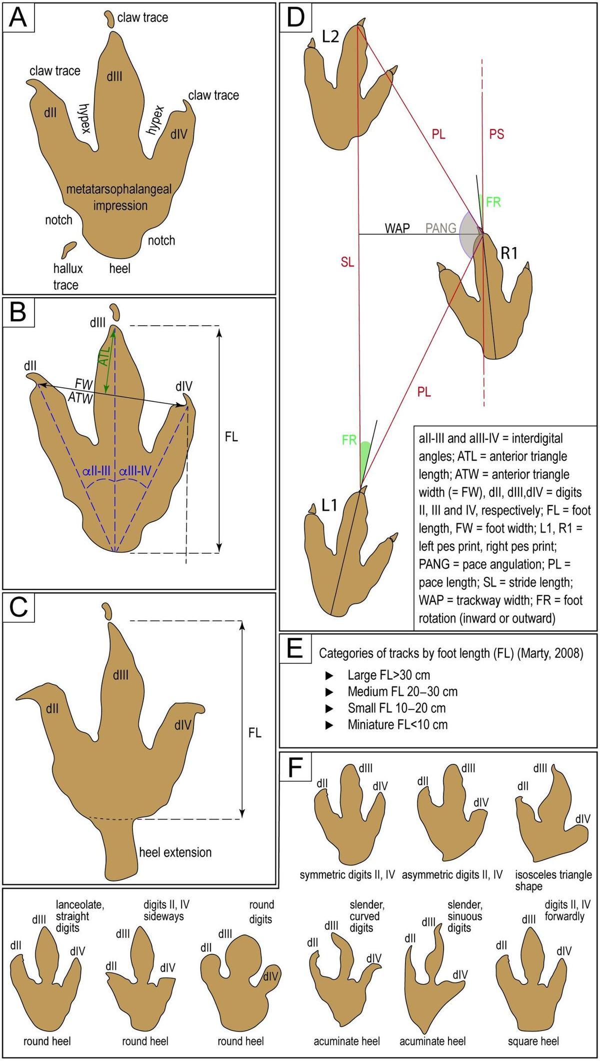 Esquema de quelques huellas rencontrées