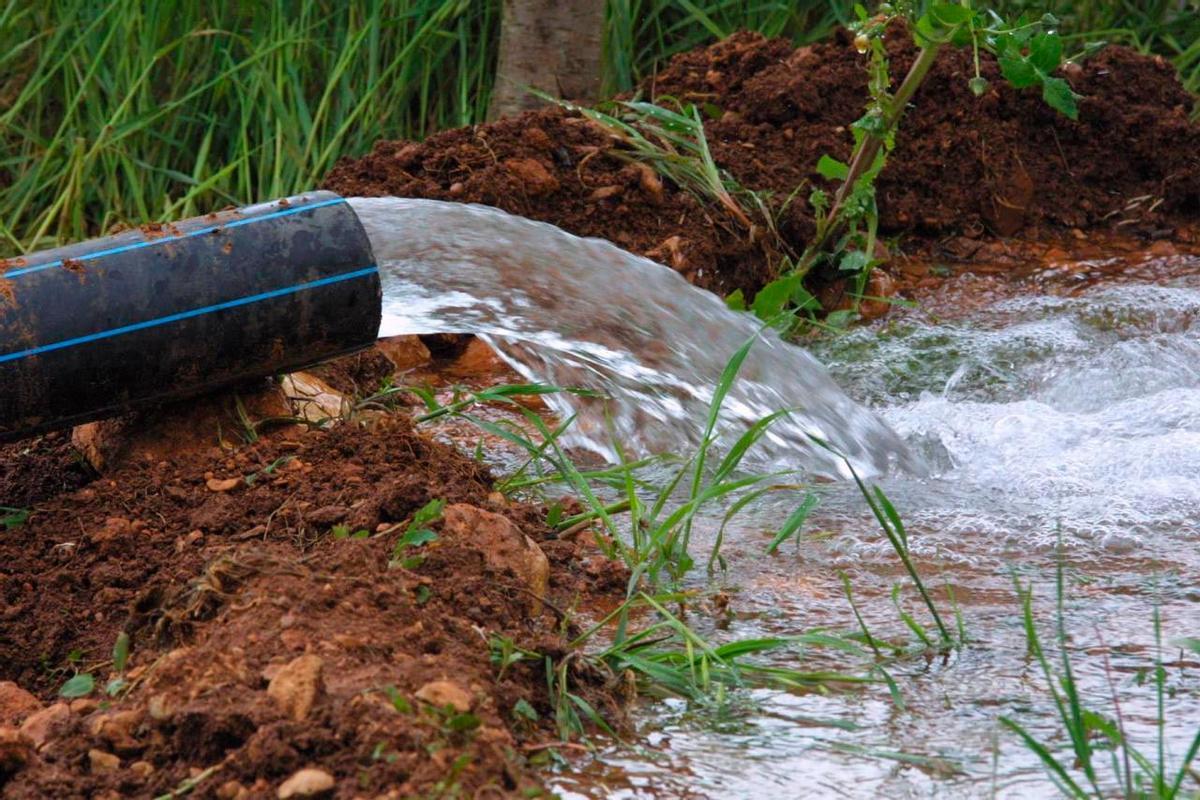 L'extraction excessive d'eau se termine avec les plantes résistantes à la sequía