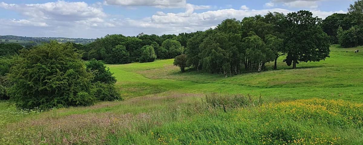 Le parc Allestree, à Derby (Royaume-Uni).