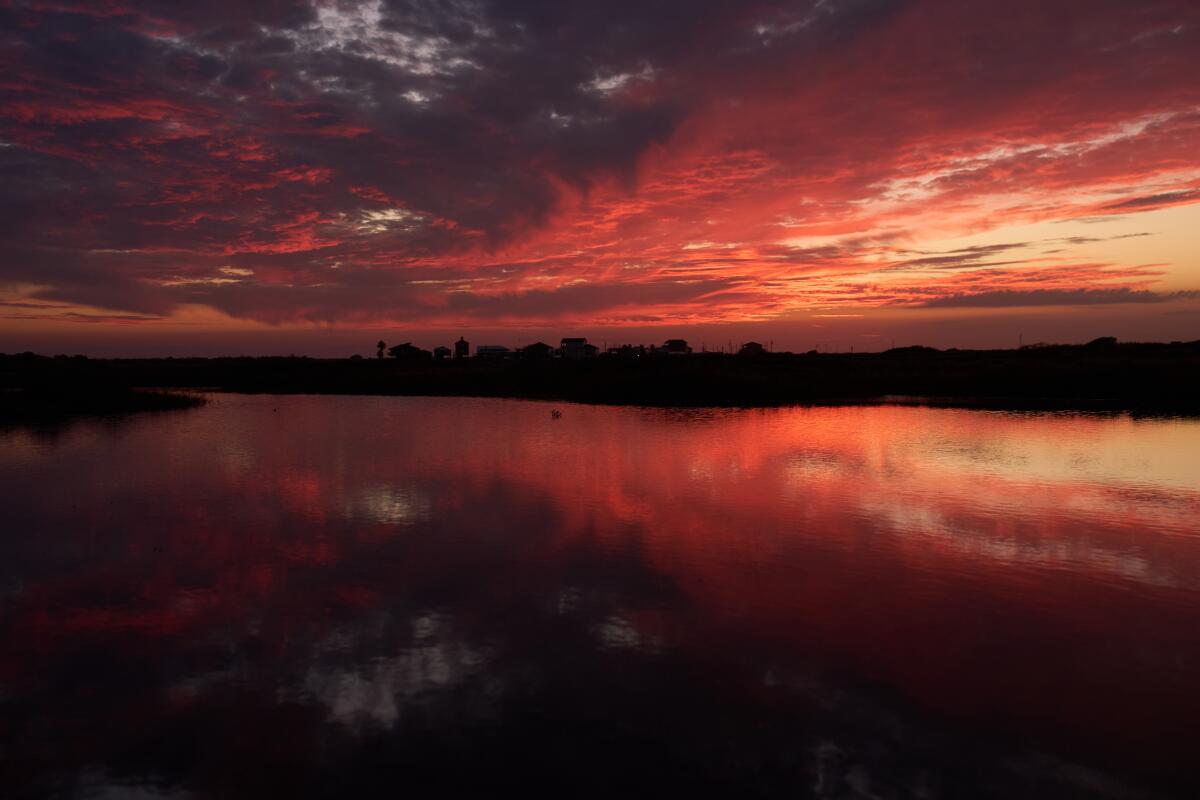 Les nuages ​​illuminés par le soleil couchant se reflètent dans l'eau du sanctuaire de la grue blanche Wolfberry.