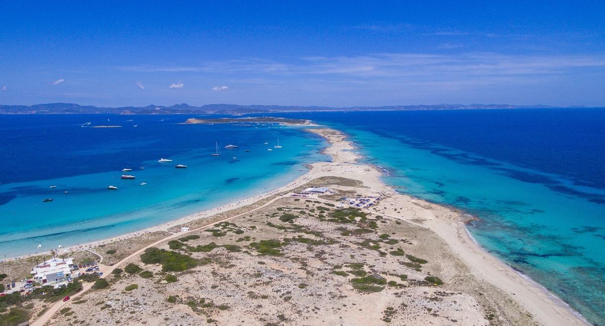 La Méditerranée se tropicalise à pasos Agigantados