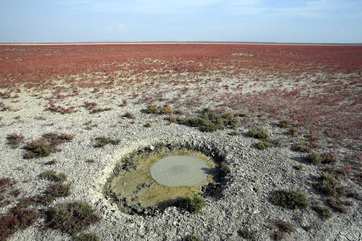 La situation de Doñana préoccupe les scientifiques