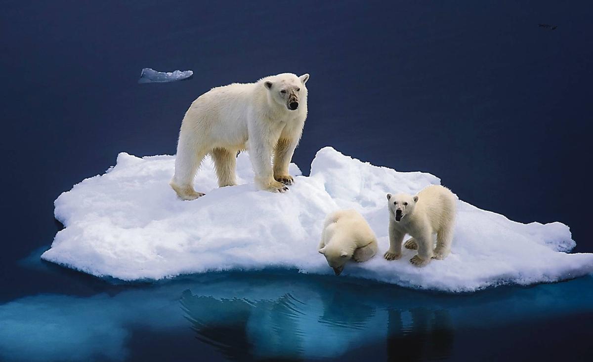 Un homme polaire et ses rêves sur le ciel arctique